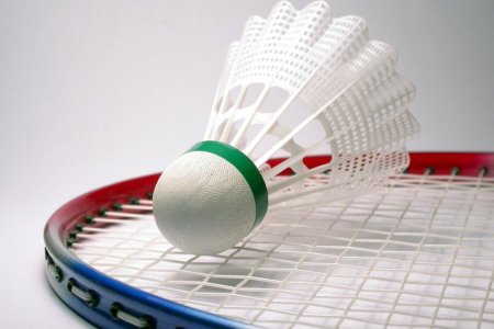 Badmintonschläger mit Ball